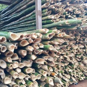 Bamboo Poles – For Decking, Decor & Light Construction